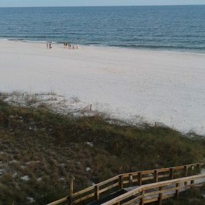 Meet your Posher, Lynne